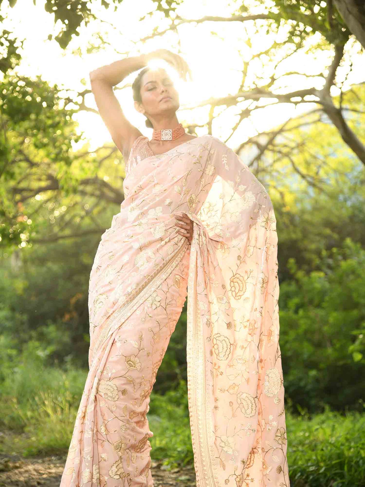 Timeless & Traditional Saree